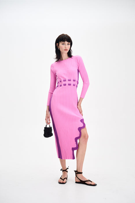 ASTER LONG SLEEVE PLEATED DRESS