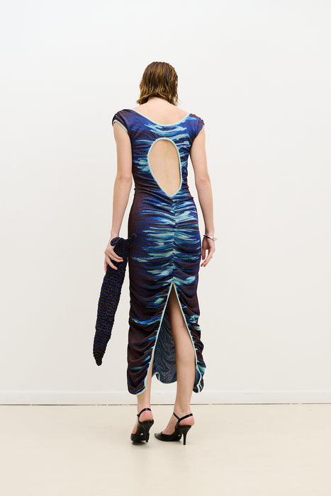 DANIO LAKE PRINT MIDI DRESS