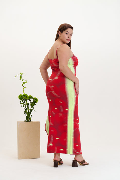 IRIS MAXI TANK DRESS