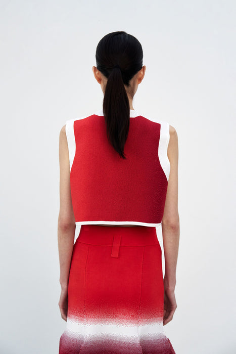 DAHLIA OVERSIZED WAVY CROP TOP