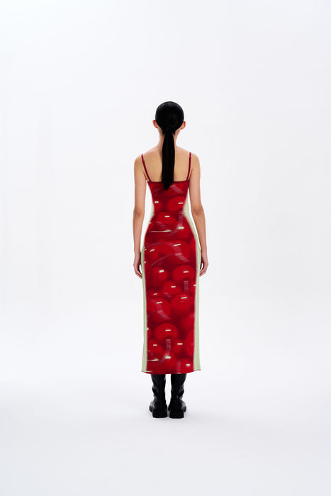 IRIS MAXI TANK DRESS