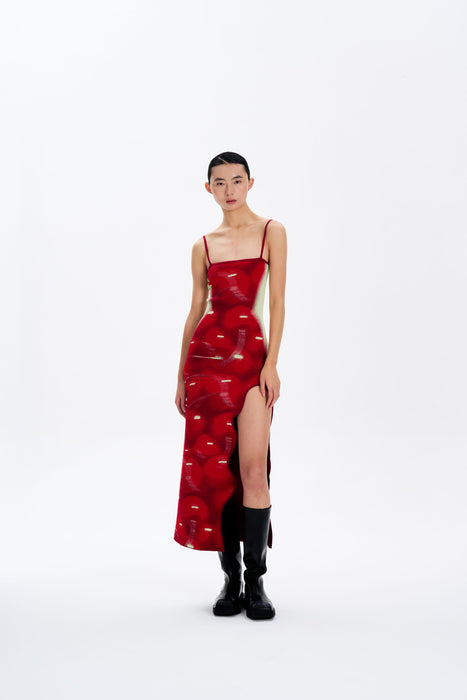 IRIS MAXI TANK DRESS