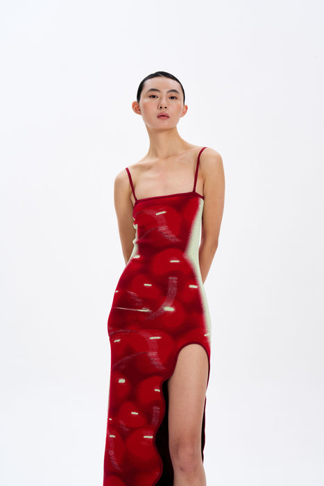 IRIS MAXI TANK DRESS