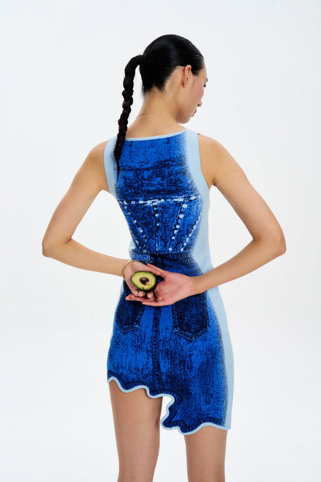 HAZEL DENIM PRINT MINI DRESS