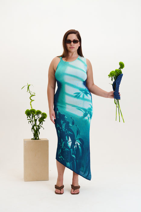 CEDAR WINDOW PRINT TANK DRESS