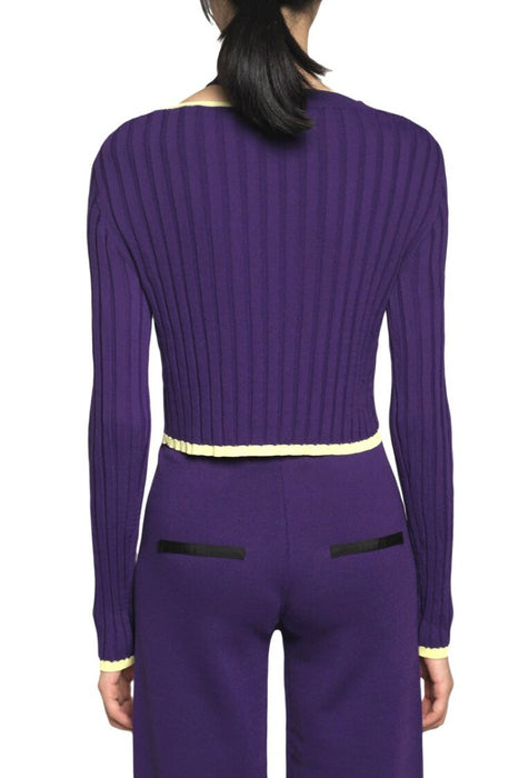 Sunday Long Sleeve Crop Top